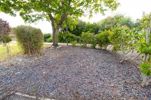 Garden- click for photo gallery